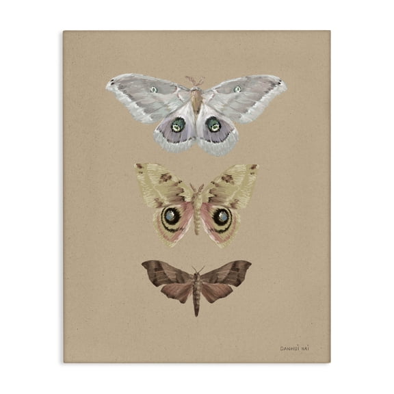 Stupell Industries Beauty Of Forest Moths Canvas Wall Art, design by Danhui Nai, 40 x 30