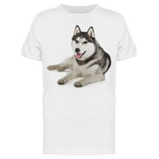 Beauty Siberian Husky T-Shirt Men -Image by Shutterstock Men T-Shirt, Male 3X-Large