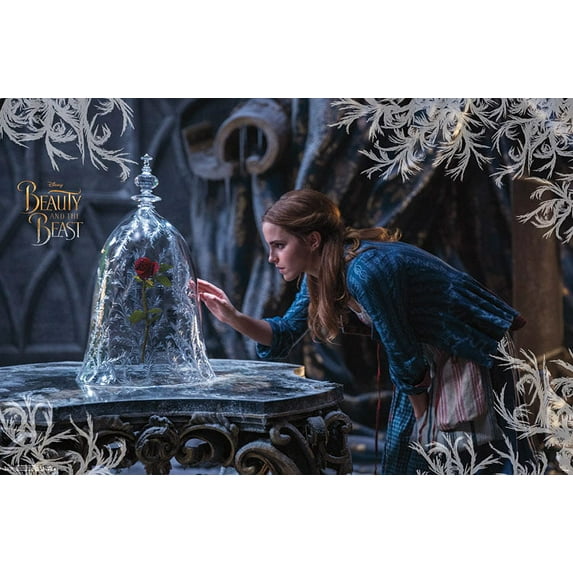 Beauty & The Beast - Rose Poster and Poster Mount Bundle