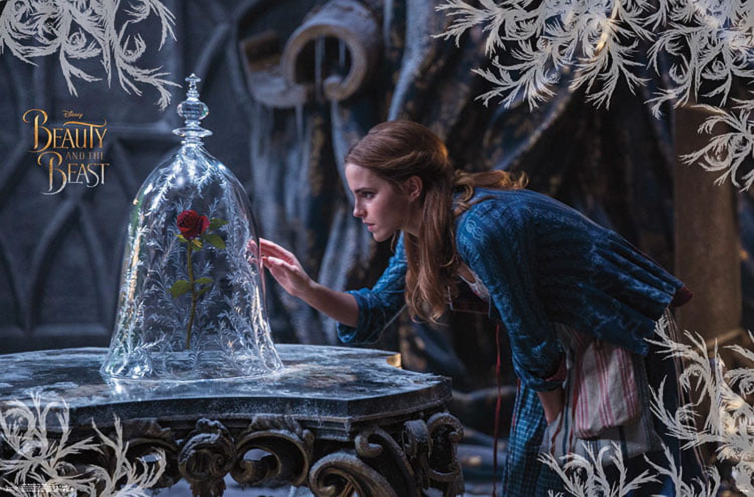 Beauty & The Beast - Rose
