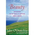 thumbnail image 1 of Pre-Owned Beauty: The Invisible Embrace (Paperback) 0060957263 9780060957261, 1 of 1
