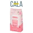 thumbnail image 1 of Beauty Topic Rosewater Facial Cleansing Tissues, Pre-Moistened, 60 Sheets, 1 of 5