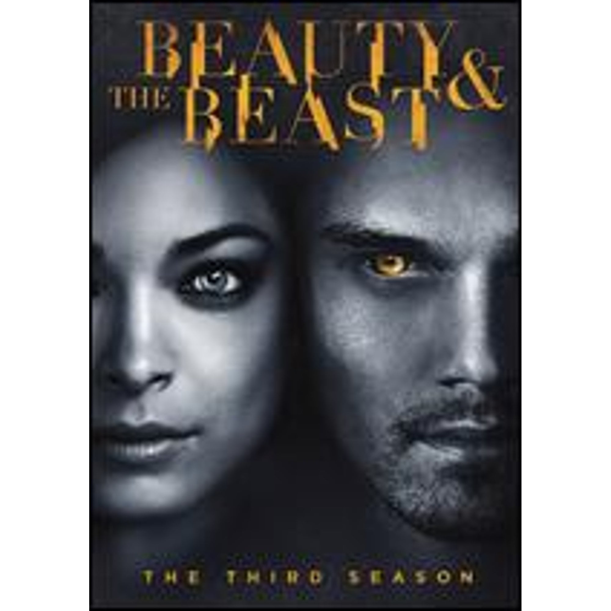 Beauty and the Beast TV Show: The Complete Full Season Set