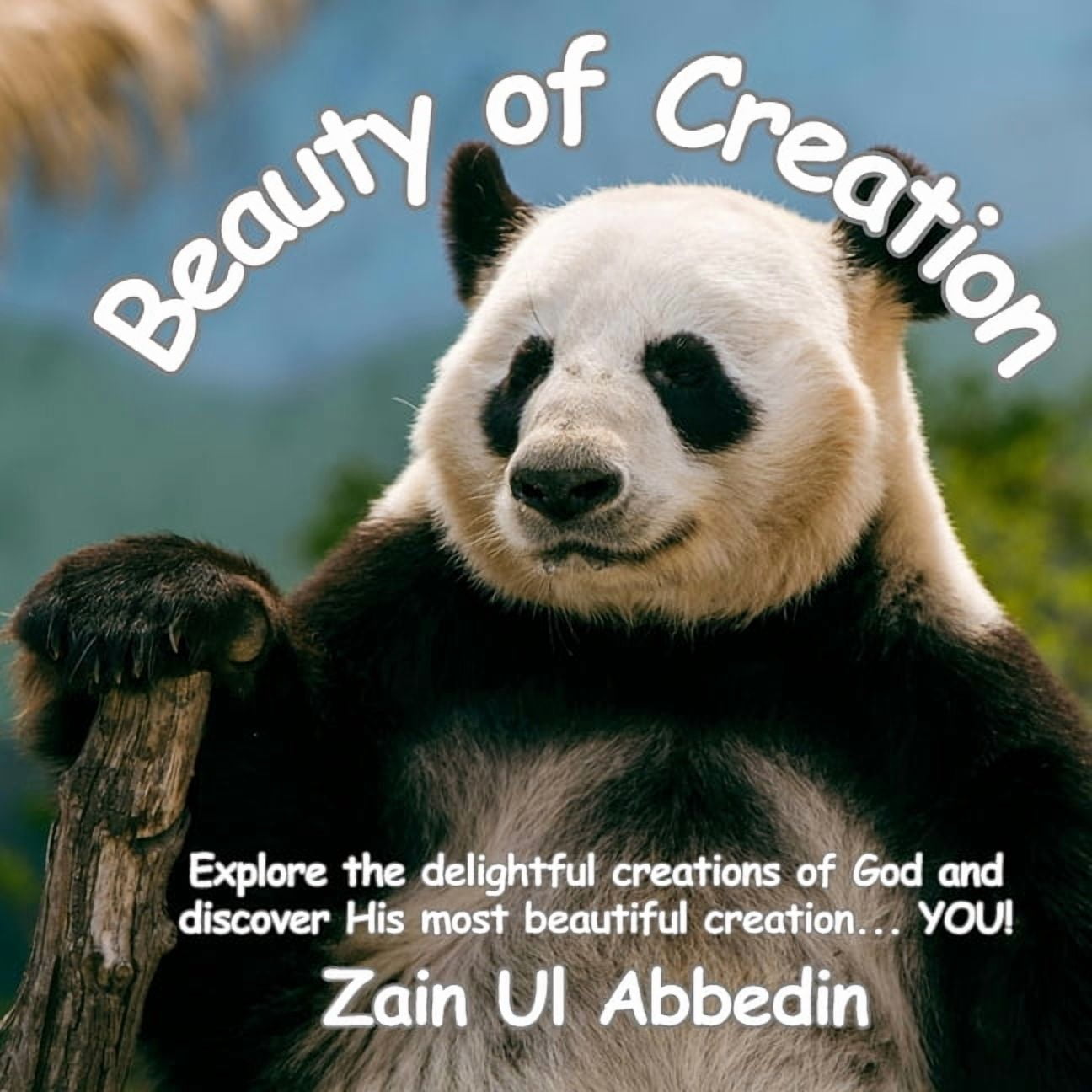 Beauty of Creation, (Paperback)