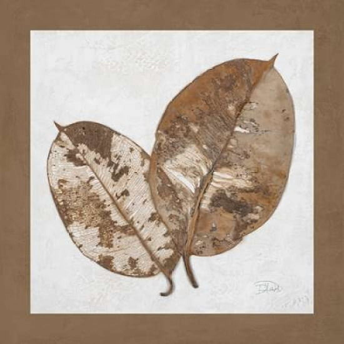 Beauty of Simplicity II Canvas Art - Patricia Pinto (24 x 24)