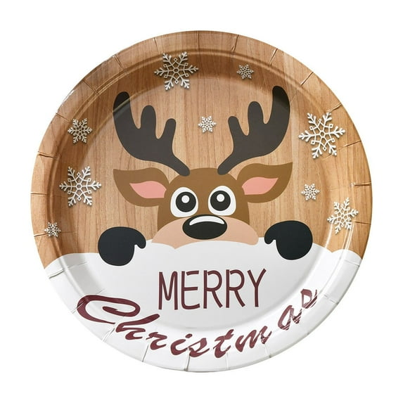 Beautynvta 10 Pcs Merry Christmas Paper Plates Set, 9'' Brown Reindeer Painted Disposable Decorative Tableware for Holiday Supplies Birthday Decorations Kitchen Table Decorations
