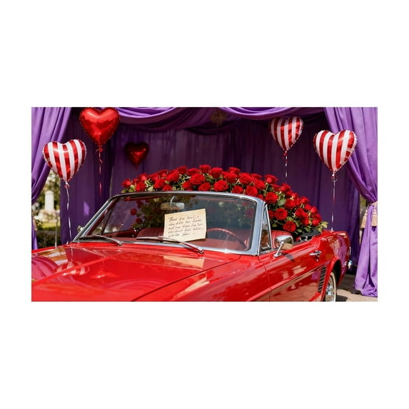 Beautynvta 71x43 Inch Large Valentine's Day Backdrop, Valentines Romantic Love Photography Background for Valentines Party Decorations Home Room Decor