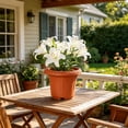 thumbnail image 1 of Beautynvta Large Plastic Plant Pots, Brown Flower Planter, Indoor & Outdoor Flower Pots for Garden, Patio & Home Decor, 5.51x4.33 Inch, 1 of 7
