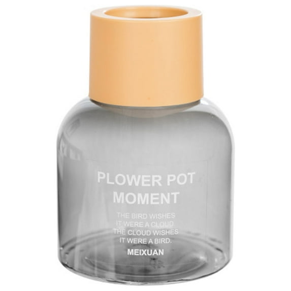 Beautynvta Plants Propagation Stations Vases, Small Transparent Hydroponic Pots for Indoor Living Room Desktop Plants Flowers Hydroponics, Home Office Tabletop Decoration, Gray