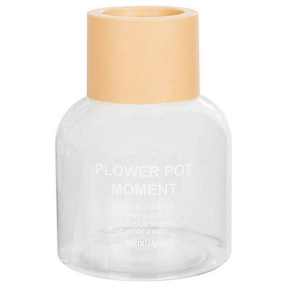 Beautynvta Plants Propagation Stations Vases, Small Transparent Hydroponic Pots for Indoor Living Room Desktop Plants Flowers Hydroponics, Home Office Tabletop Decoration, Clear