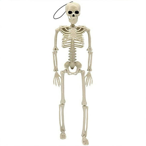 Beautynvta Posable Halloween Skeletons Decor, 15''x4.7'' Small Hanging Skeleton with Movable Joints for Halloween Decorations, Graveyard Props