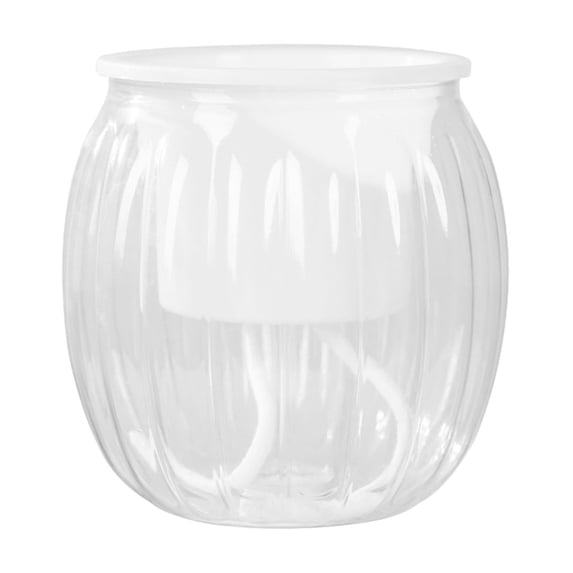 Beautynvta Pumpkin Planter, Decorative Plastic Pot, Planter Container for Flower, Pumpkin Shaped Planter Indoor, 5.1"x4.2", Clear
