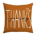 thumbnail image 1 of Beautynvta Thanksgiving Throw Pillows Covers, 18''x18'' Fall Linen Pillowcase, Pumpkin Thanksgiving Pillow Case for Thanksgiving Sofa Couch Bed Decoration, 1 of 6