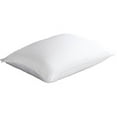 Beautyrest 2in1 Down Alternative and Memory Foam Pillow