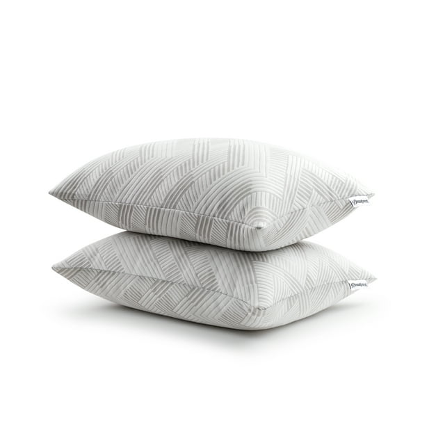 Beautyrest Charcoal Lux Bed Pillow 2 Pack, King, Polyester