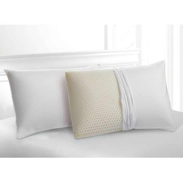 Beautyrest Latex Fusion Memory Foam Pillow with Removable Cover