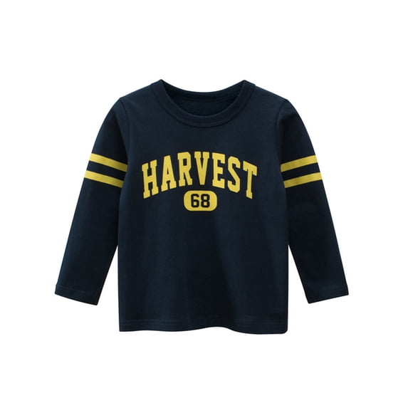 Beautyzll Kids Boys Long Sleeve Crewneck T-Shirts Shirt 1-9T Baby Toddler Basic T Shirt Tops Cartoon Cotton Tees