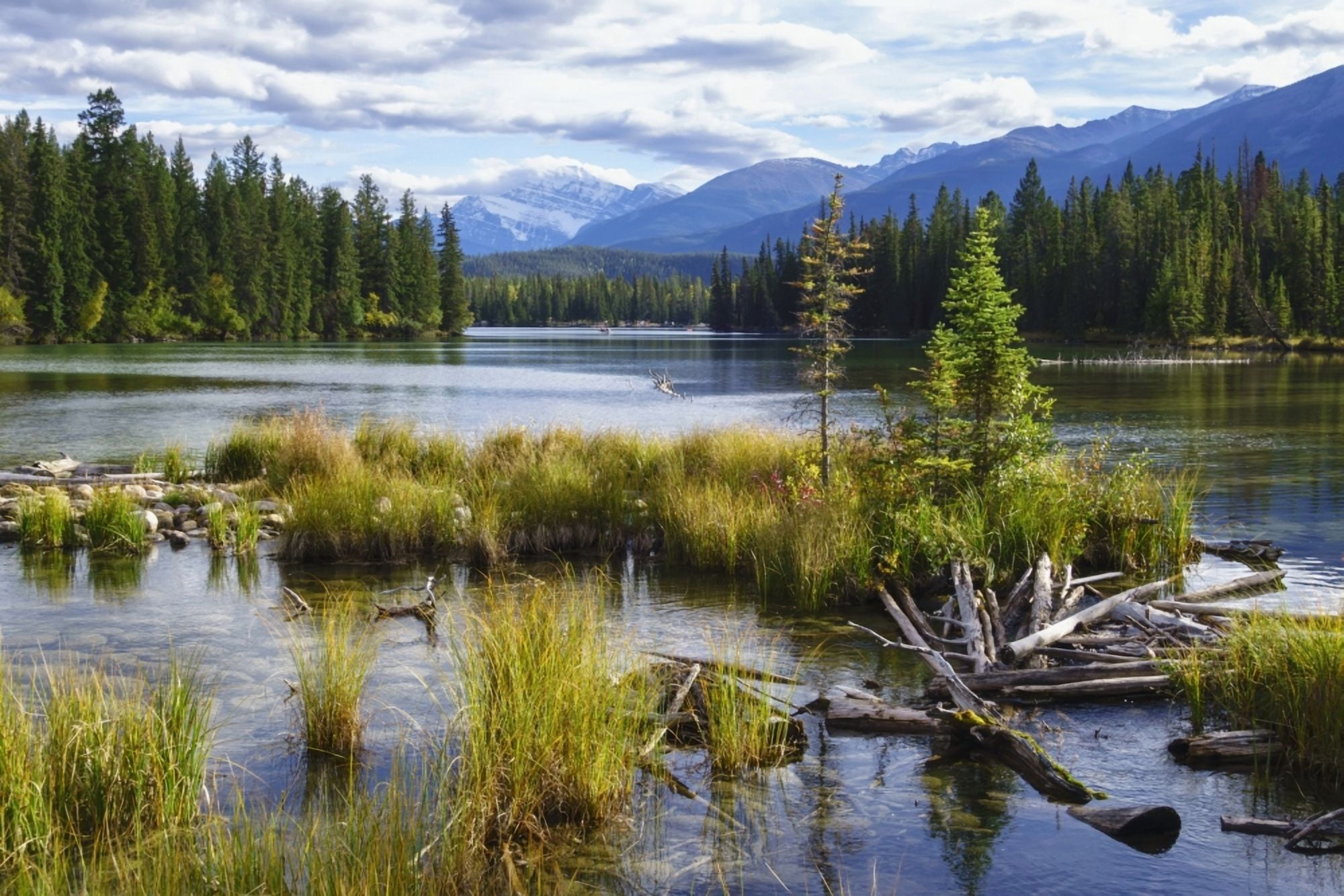 Beauvert Lake Jasper National Park Jasper Alberta Canada Canvas Art - Alvis Upitis Design Pics (19 x 12)