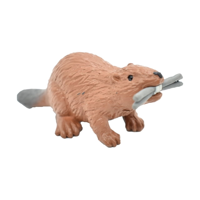 Castor Present Beaver, Castor, Very Nice Plastic Animal, Educational, Toy, Kids ...