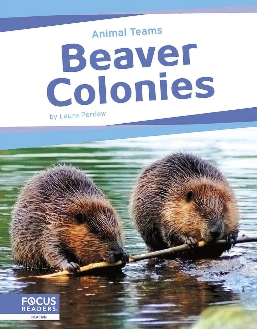Beaver Colonies, (Hardcover) - Walmart.com