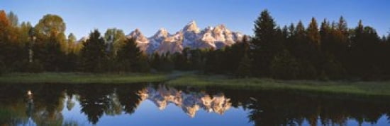 Beaver Pond Grand Teton National Park WY Canvas Art - Panoramic Images (36 x 12)