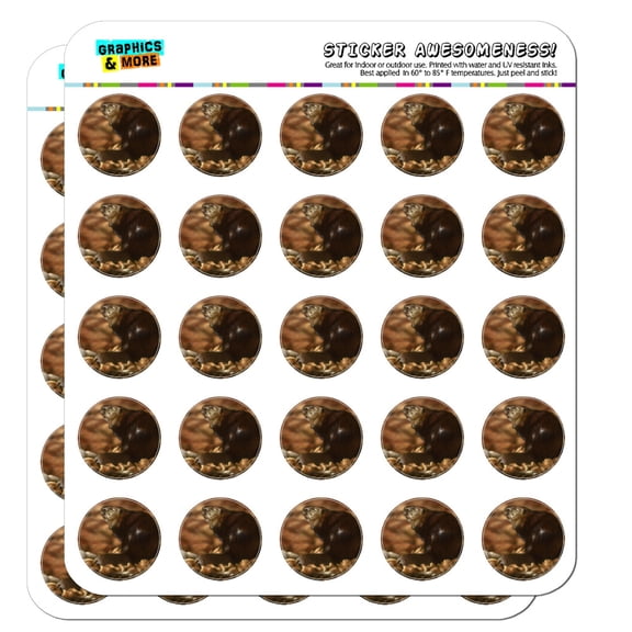 Beaver by the River Planner Calendar Scrapbooking Crafting Stickers