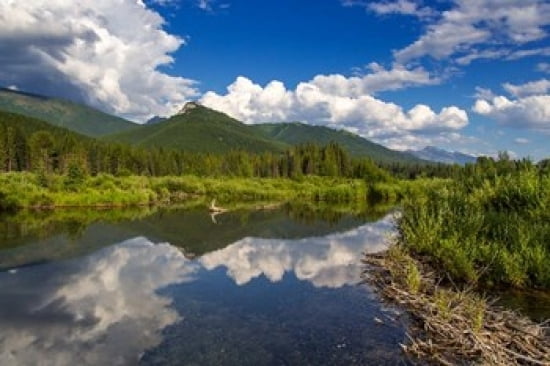 Beaver pond along the Flathead River near Fernie British Columbia Canada Canvas Art - Chuck Haney DanitaDelimont (36 x 24)