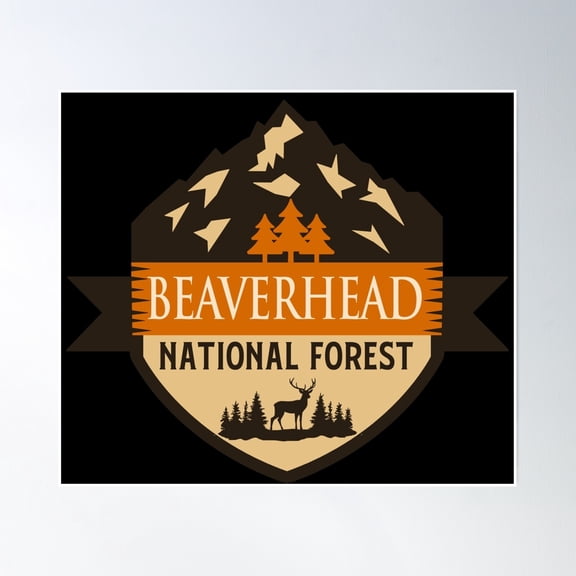 Beaverhead National Forest Poster Wall Art, Modern Wall Decor, 16x24 UNFRAMED