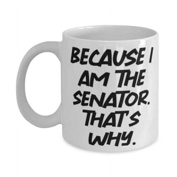 Because I Am the Senator. That's Why. 11oz Mug, Senator Present From Boss, Cute Cup For Coworkers, Congressman birthday gift, Congressional birthday gift, Senator birthday present, Senator bday