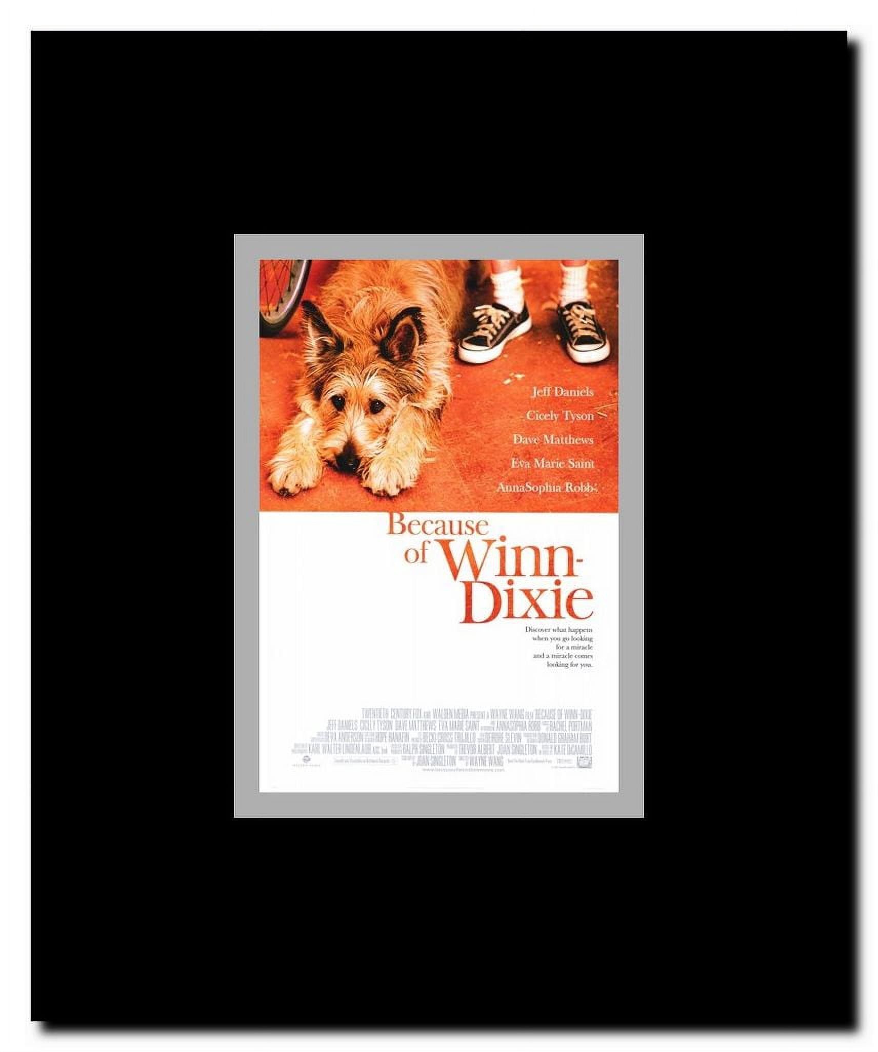 Because of Winn Dixie Framed Movie Poster