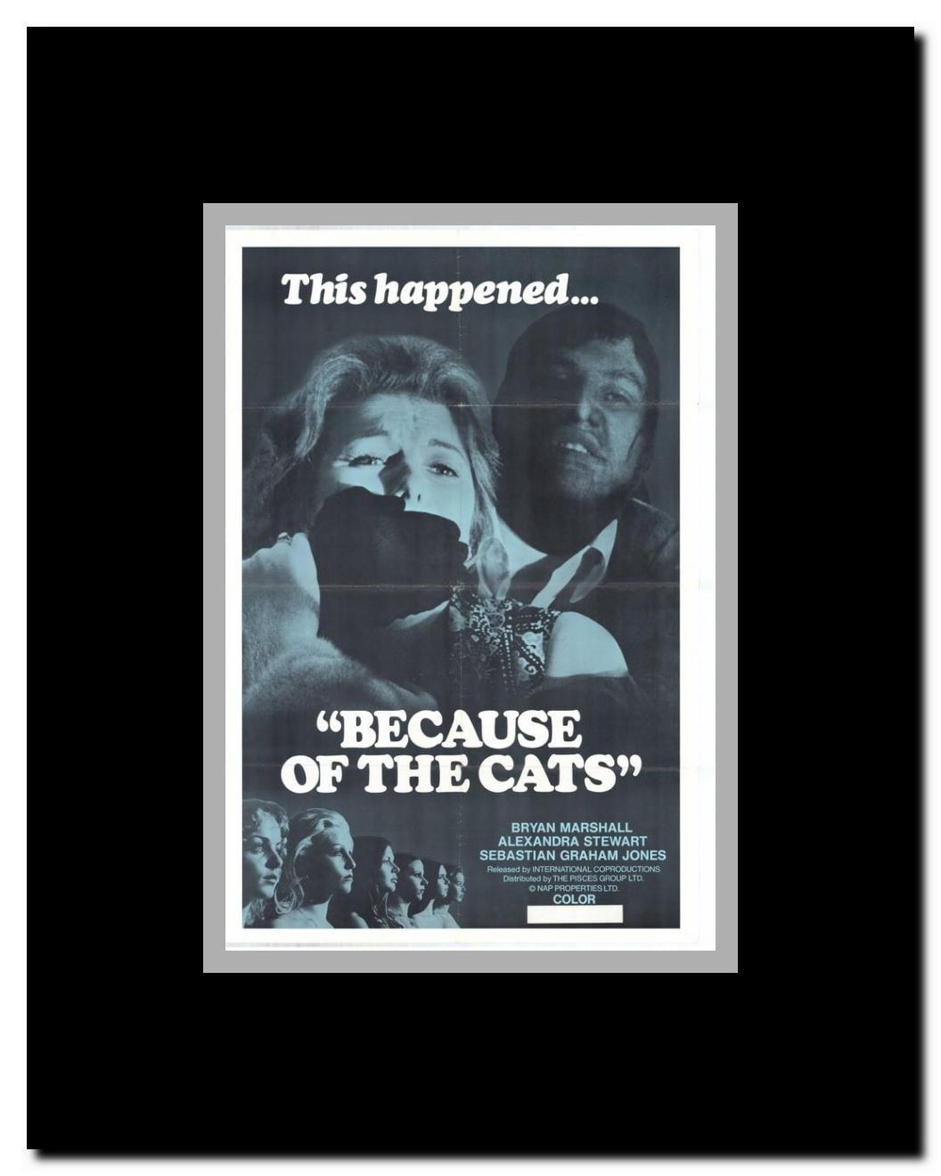 Because of the Cats Framed Movie Poster