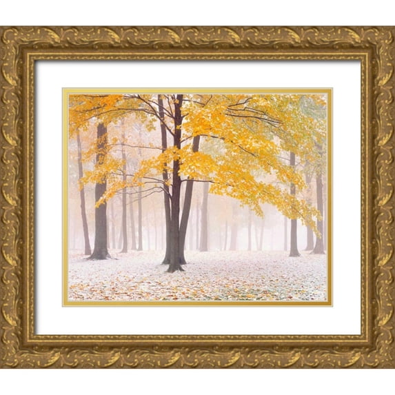 Becia, Jim 14x12 Gold Ornate Wood Framed with Double Matting Museum Art Print Titled - Early Autumn Snow