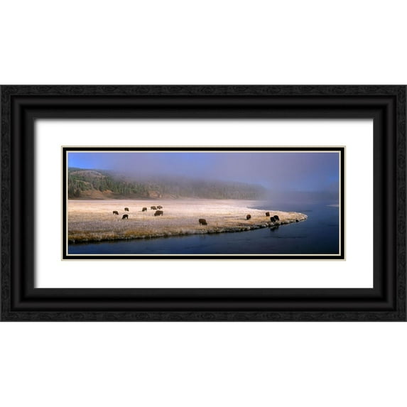 Becia, Jim 18x9 Black Ornate Wood Framed with Double Matting Museum Art Print Titled - Bison Along the Firehole