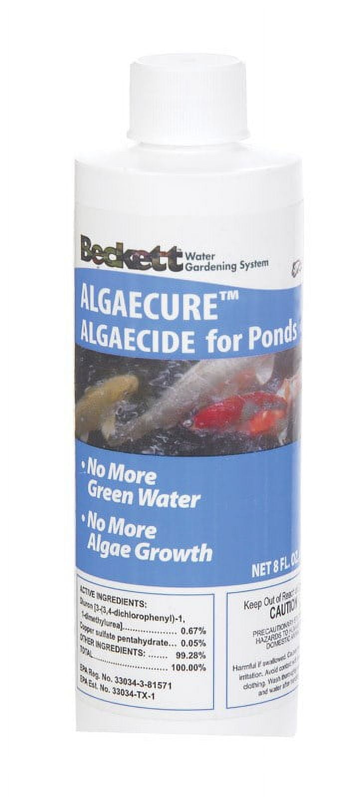 Beckett Algaecure Algaecide For Ponds