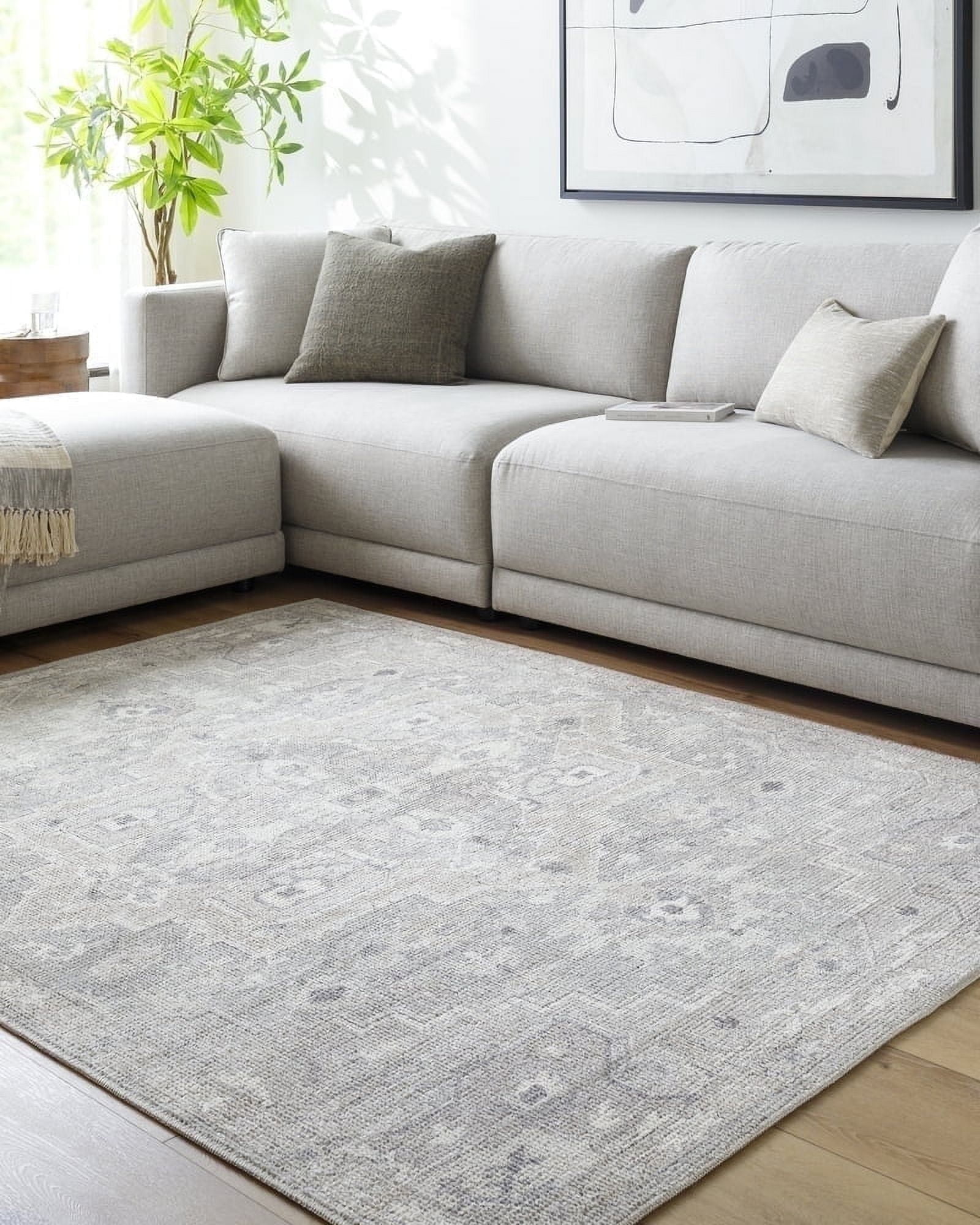 Modern Moonbeam Gray Rectangular Easy-Care Area Rug, 3'11" x 5'7"