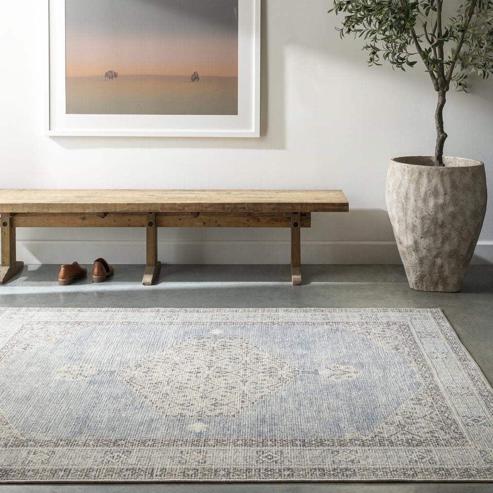 Coastal Charm Dusty Blue Medallion Synthetic Area Rug, 3'11" x 5'7"