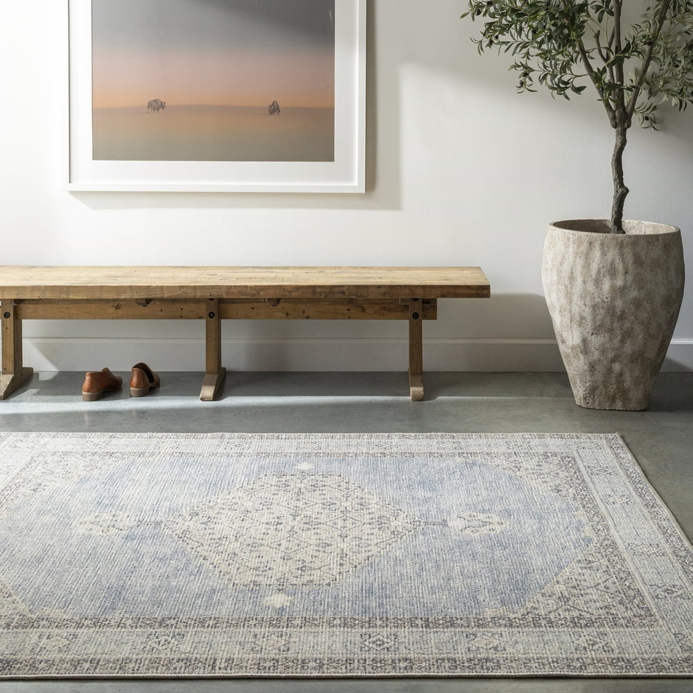 Coastal Charm Dusty Blue Medallion Synthetic Area Rug, 3'11" x 5'7"