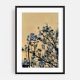 thumbnail image 1 of Beckon the Blue - Philadelphia Pennsylvania Photography Silhouette Abstract Floral Minimalist Botanical Nature Surrealism Black Framed Wall Art Print 5 x 7 inches, 1 of 8