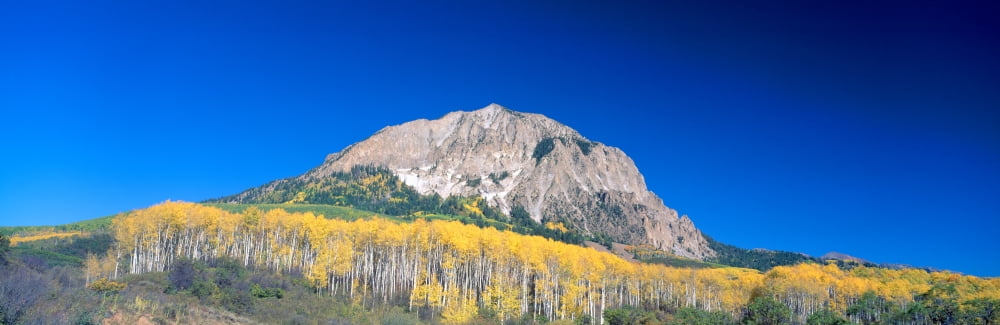 Beckwith Mountain at Kebler Pass in Gunnison National Forest Colorado Canvas Art - Panoramic Images (36 x 12)