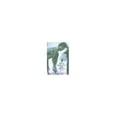 thumbnail image 1 of Pre-Owned Becky Bernstein Goes Berlin (Hardcover 9781559703819) by Holly-Jane Rahlens, 1 of 1