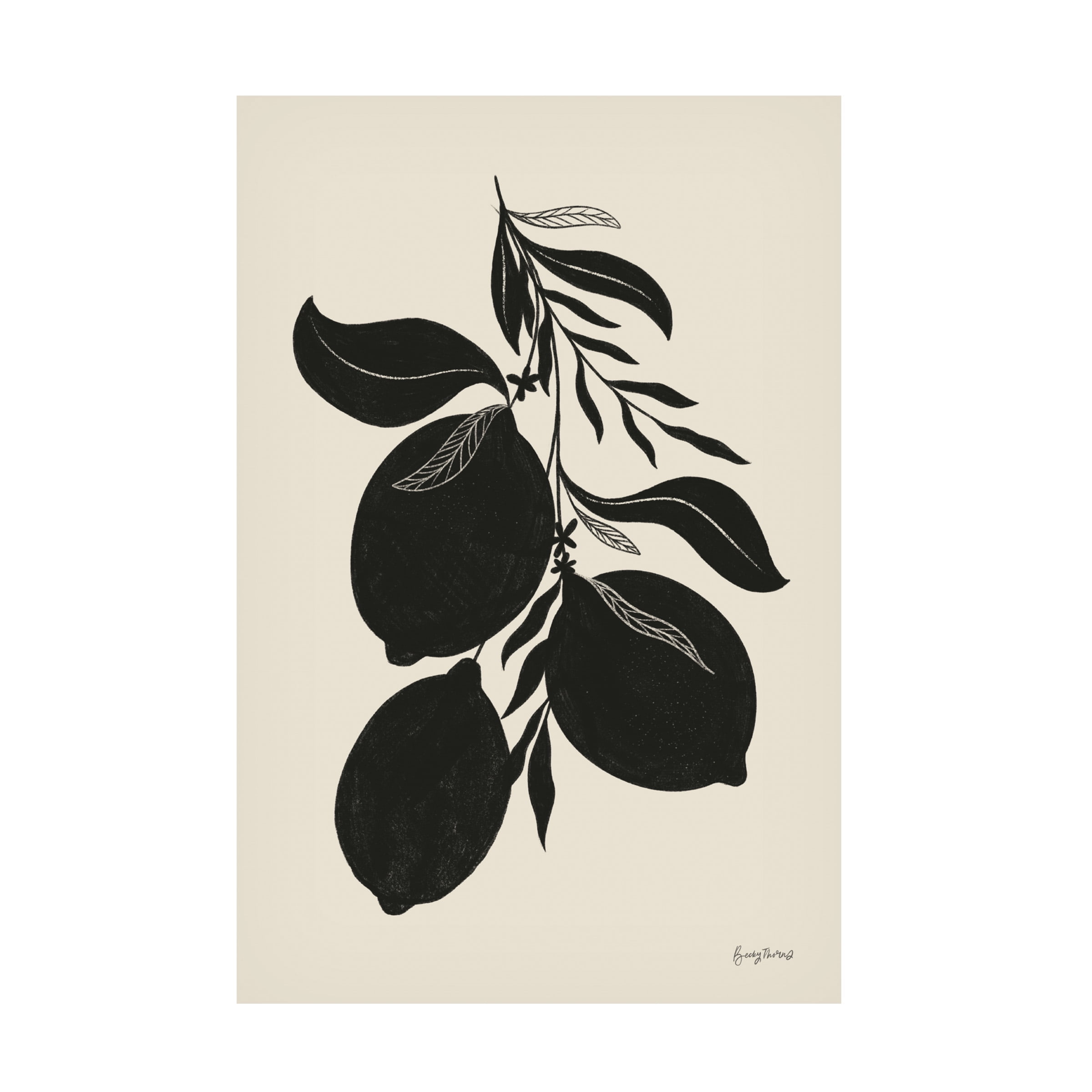 Becky Thorns 'Lemon Silhouette I' Canvas Art