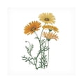 thumbnail image 1 of Becky Thorns 'Teachers III' Canvas Art, 1 of 3