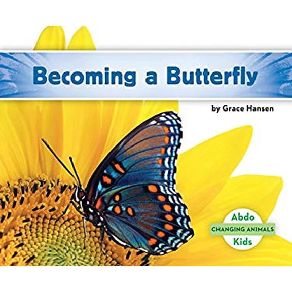Pre-Owned Becoming a Butterfly (Library Binding) 9781680805079