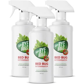 View of How can i kill bed bugs | Variety - various.surge.sh