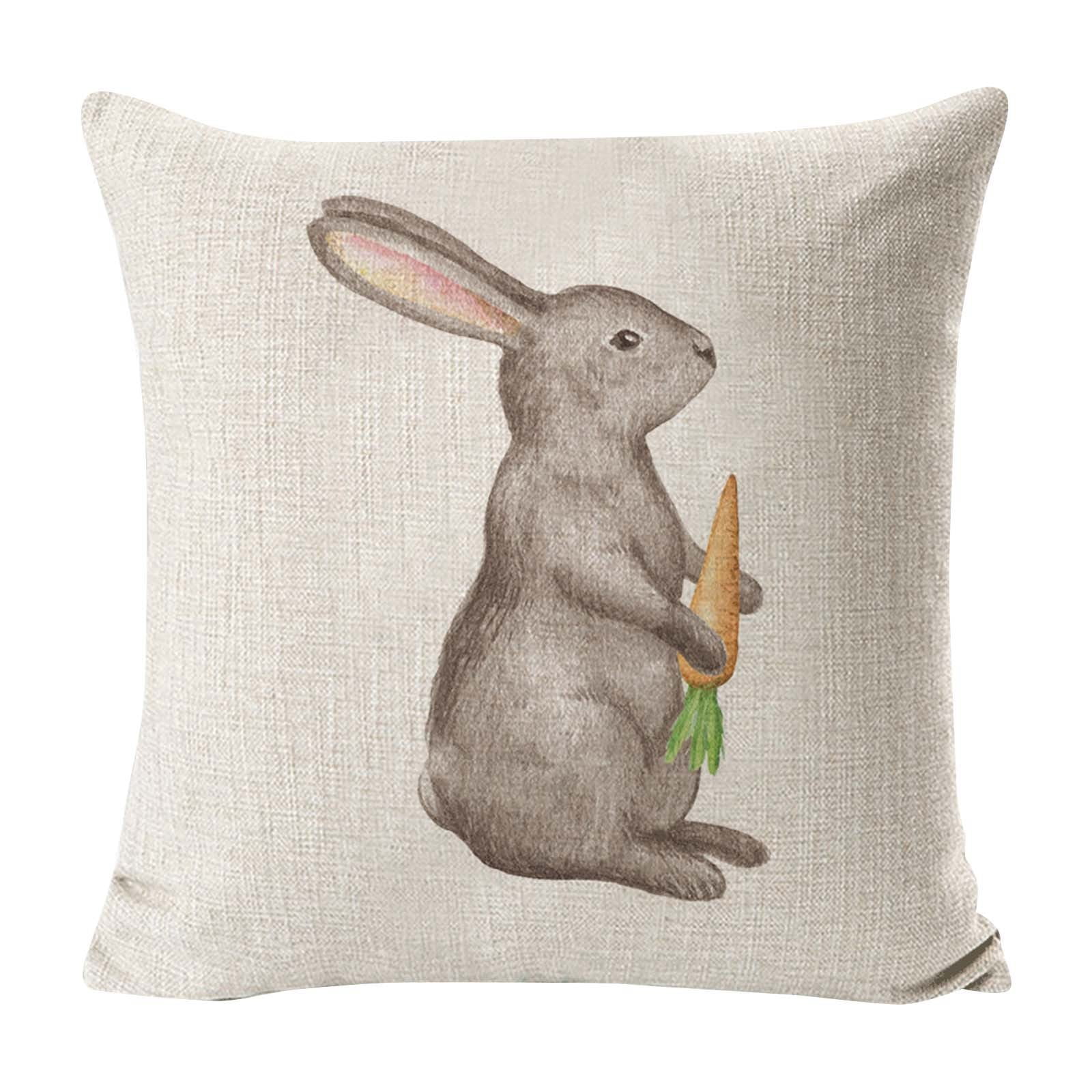 Bed Pillows for Bedroom Throw Pillows Covers 18x18 Mid Modern Pillows