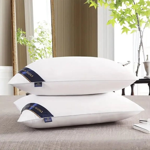 Bed Pillows Blue  2pack