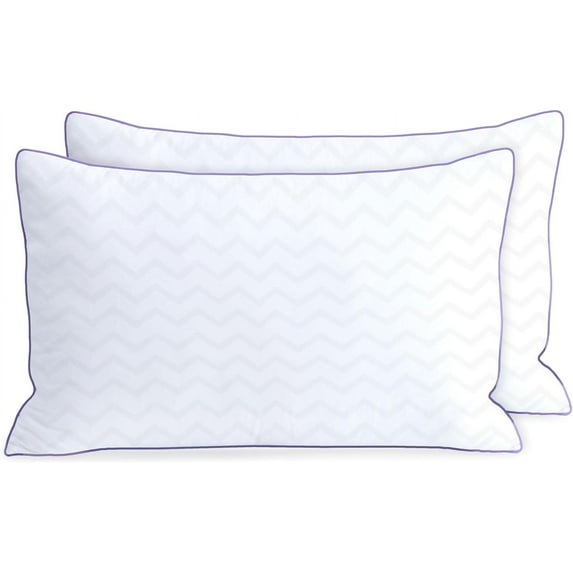 Bed Pillows Queen Size Set of 2,Hotel Collection Pillows for Side and Back Sleepers,Super Soft Down Alternative Microfiber Filled Pillows