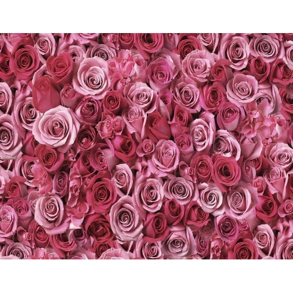Bed of Red And Pink Roses Edible Cake Topper Image ABPID00162V1