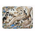 thumbnail image 1 of Bed of Roses Dalmatian Machine Washable Memory Foam Mat, 1 of 4