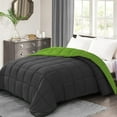 thumbnail image 1 of BedDecor 300 GSM 1Pcs Reversible Solid (Dark Gray-Parrot Green, Oversize King) 100% Egyptian Cotton Base Down Alternative Comforter, 1 of 8